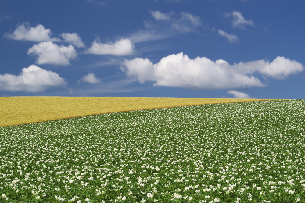 グリーン調剤薬局　在宅ケアコミュニケーション