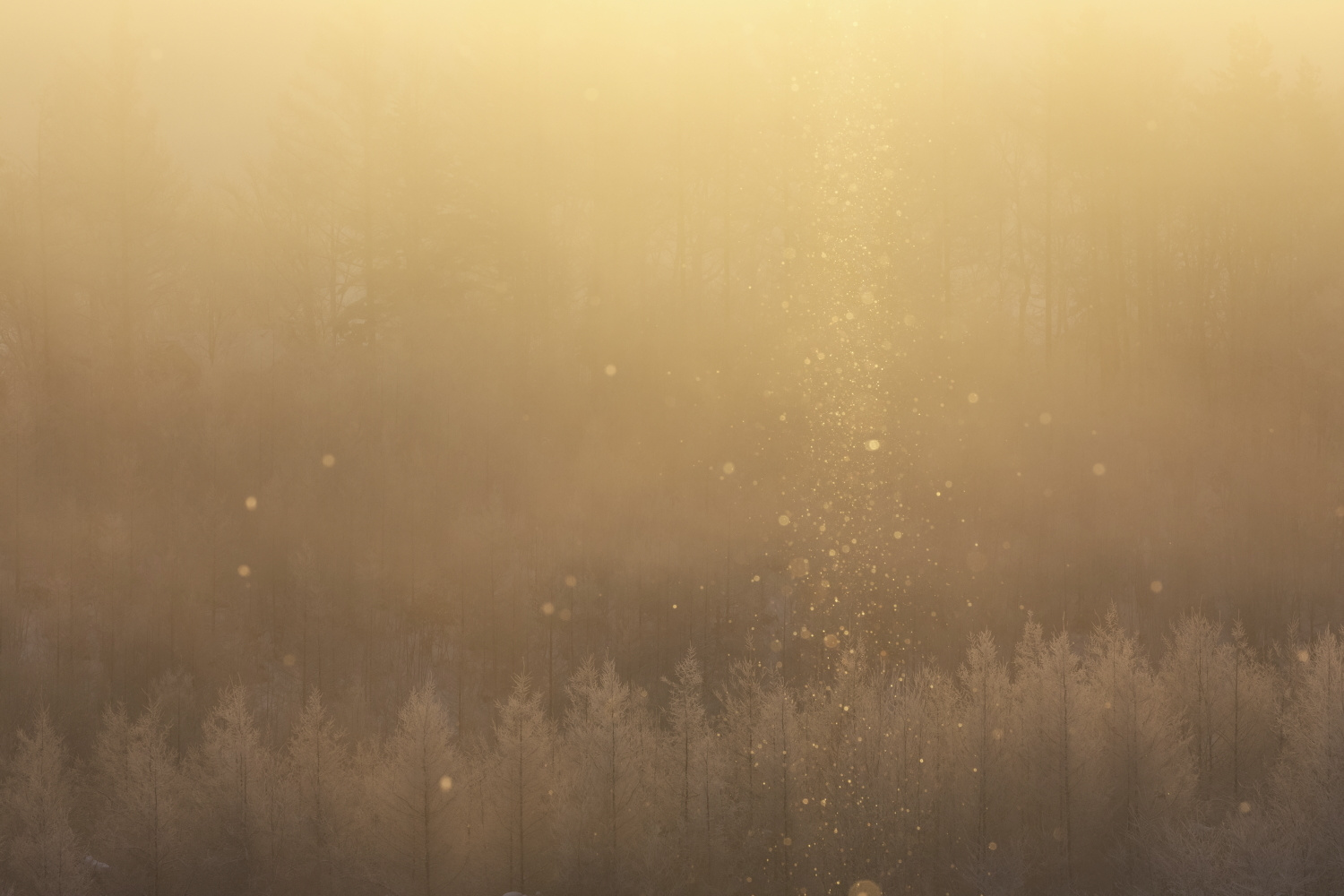 グリーン調剤薬局